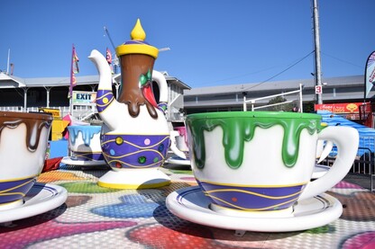 Amusement Rides The Tea Cups